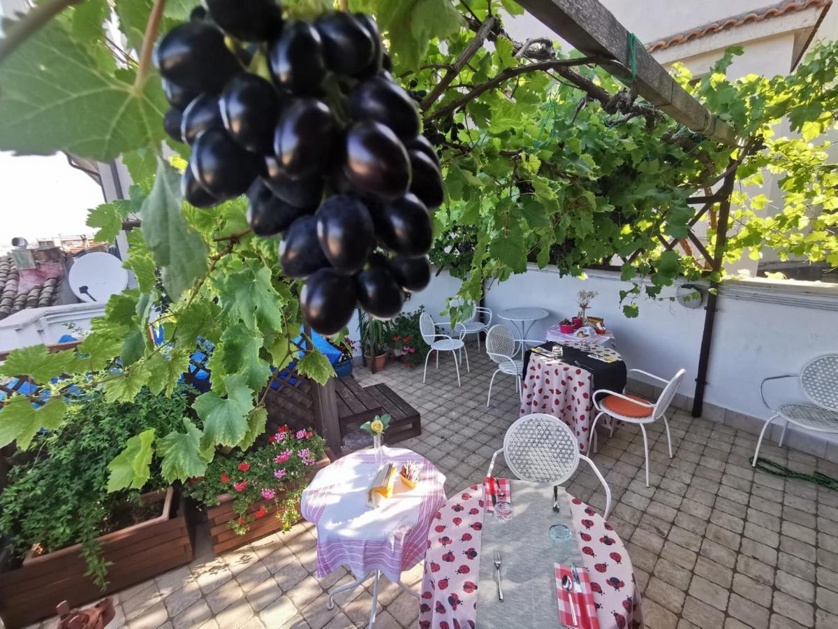 Mary'S Dream Bed and Breakfast Manoppello Exteriör bild